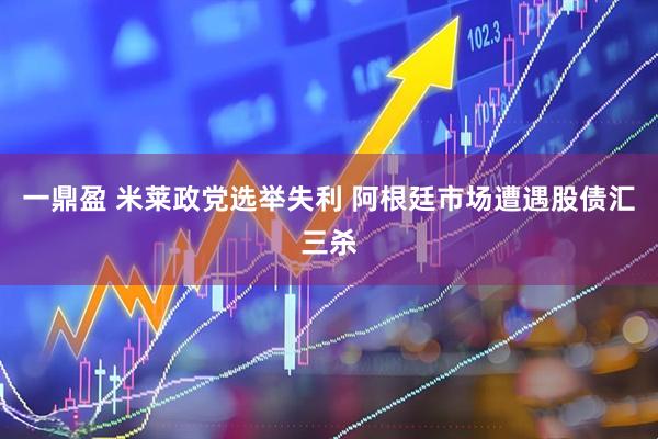 一鼎盈 米莱政党选举失利 阿根廷市场遭遇股债汇三杀