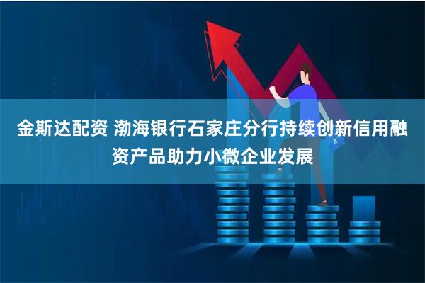 金斯达配资 渤海银行石家庄分行持续创新信用融资产品助力小微企业发展