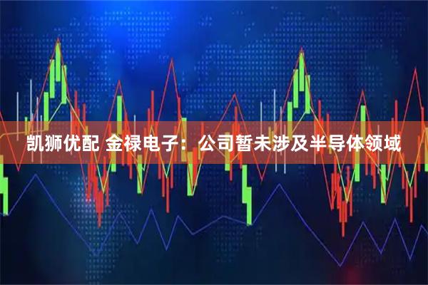 凯狮优配 金禄电子：公司暂未涉及半导体领域