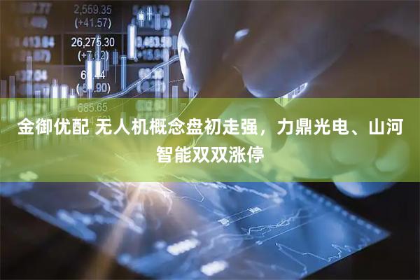 金御优配 无人机概念盘初走强，力鼎光电、山河智能双双涨停