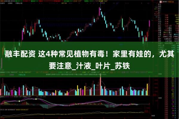 融丰配资 这4种常见植物有毒！家里有娃的，尤其要注意_汁液_叶片_苏铁